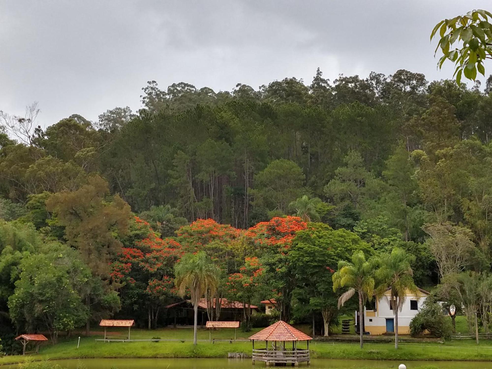 Pousada Colar De Ouro Chales Cunha Buitenkant foto